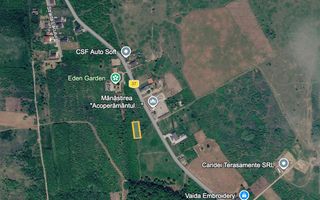 Teren intravilan 703 mp  Paleu - Poză 1