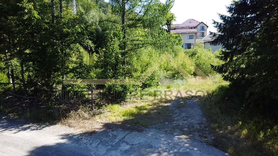 Oportunitate Investitie Teren Dambu Morii | Necesar PUD | Utilitati | 4.800mp - Poză 7