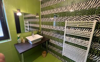 Vila de inchiriat in zona Ghiroda - Poză 14