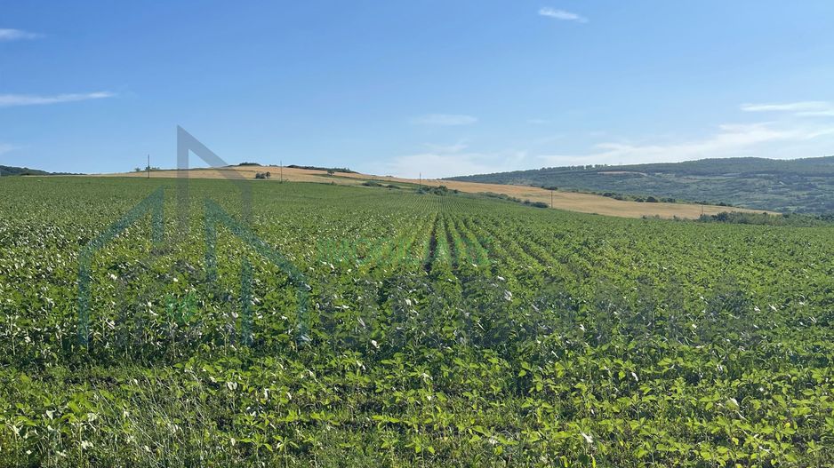 Teren de vânzare 4.850 mp în comuna Mogoșești, sat Budești - Poză 2