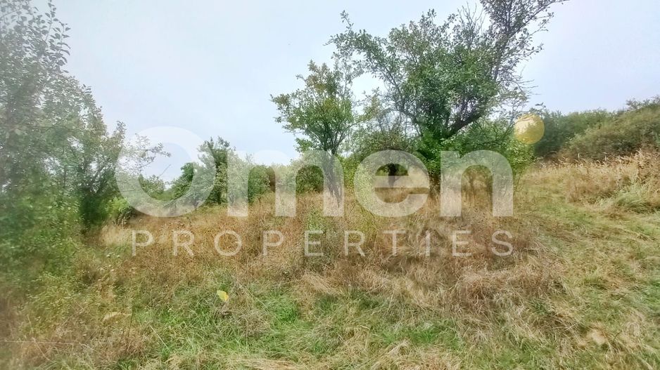 Teren 58 arii cu deschidere la drumul principal – Miron Costin - Poză 3