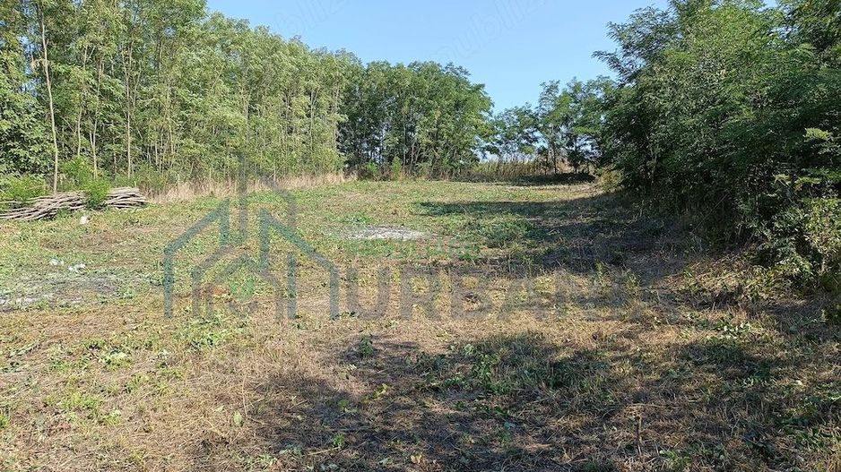 Casă renovată, Romanesti, Iași – 3 camere, 50 mp utili, teren 3240 mp - Poză 5