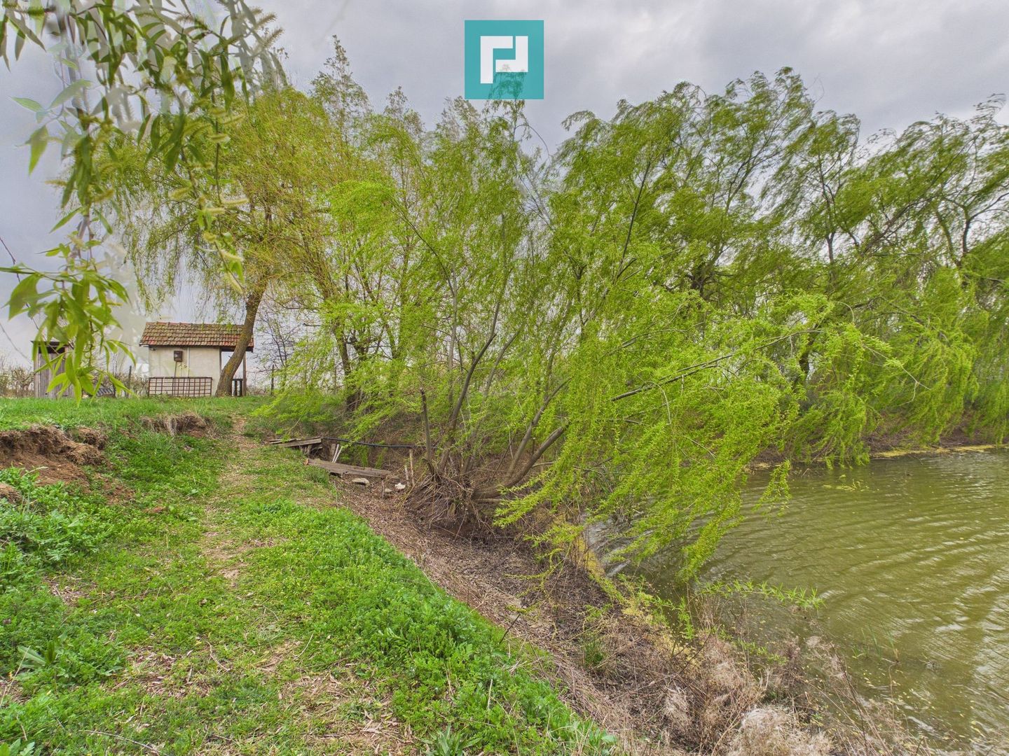 Teren 1 ha cu baltă populată – Alioș (Mașloc) - Poză 6