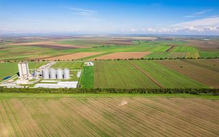 Teren de 104000 mp în Vinga - Poză 6