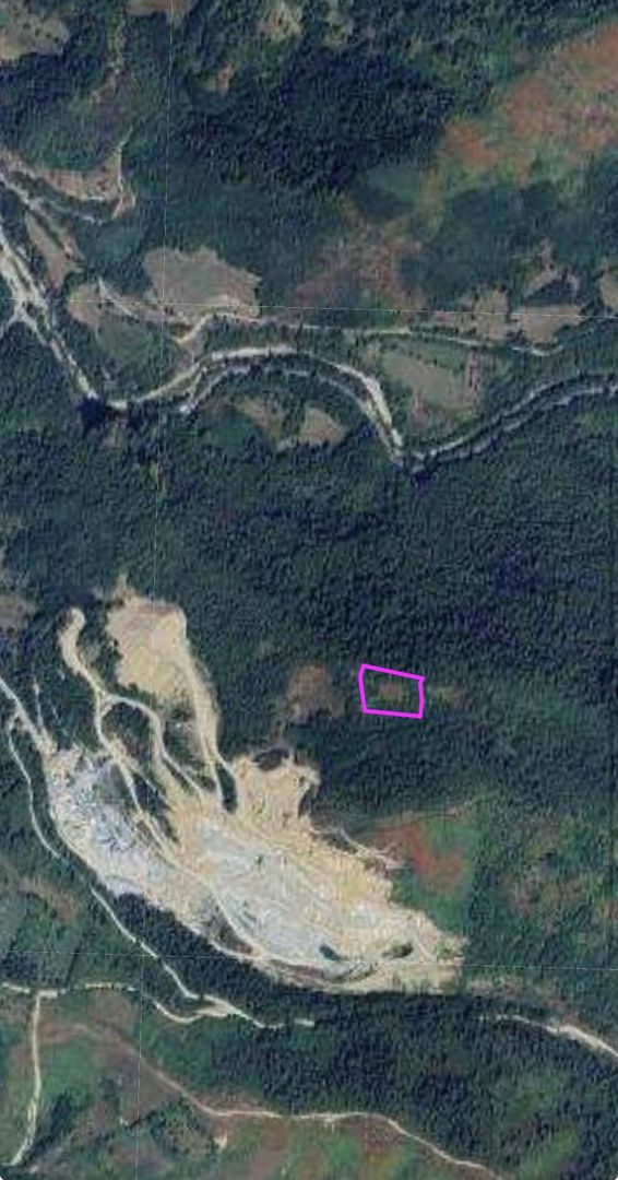 Teren pădure 64000 mp Pietroasa spre Boga - Poză 3