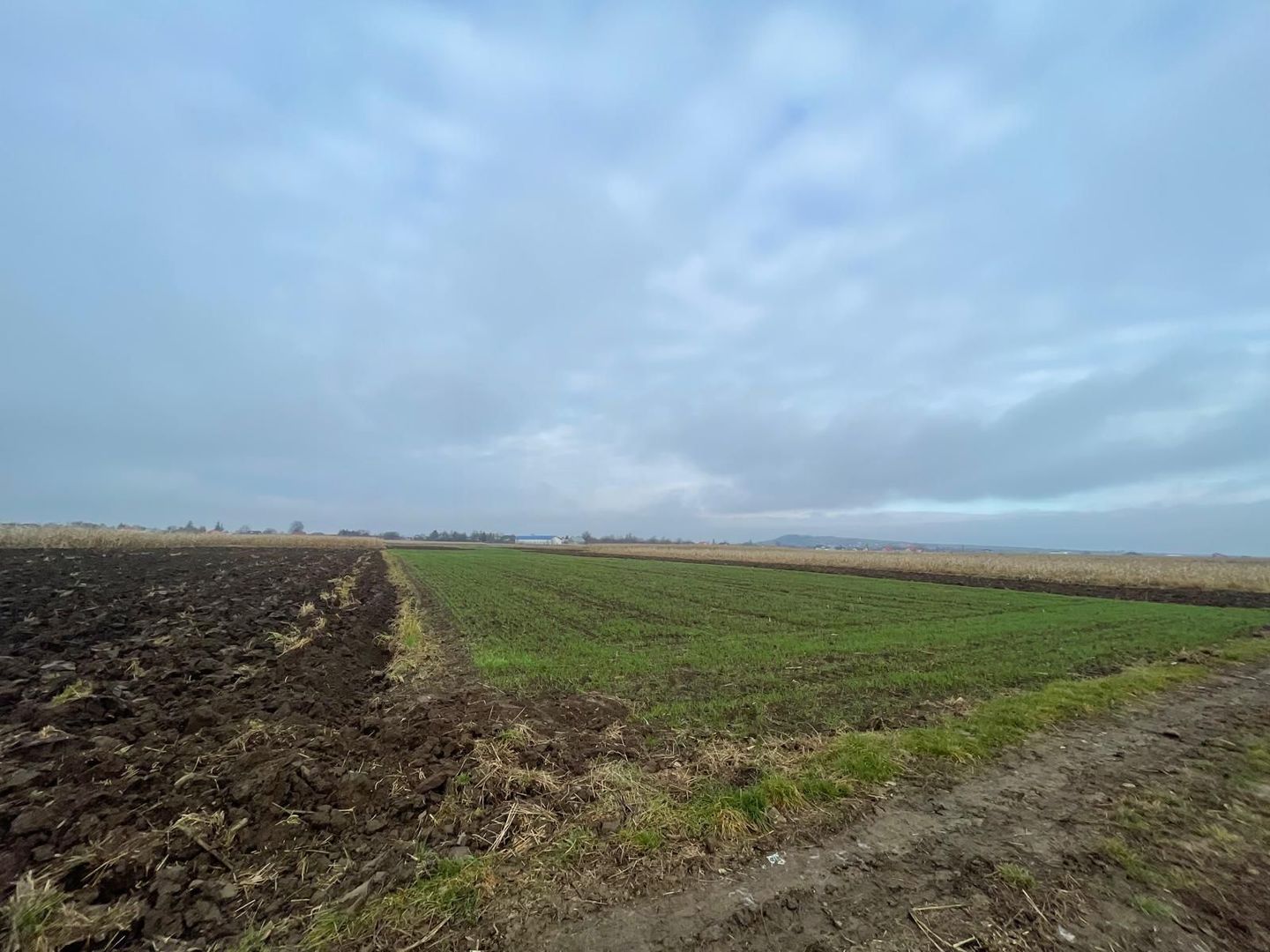 TEREN EXTRAVILAN 13 ARI | FRONT STRADAL 13 M | MARGINEA - Poză 1