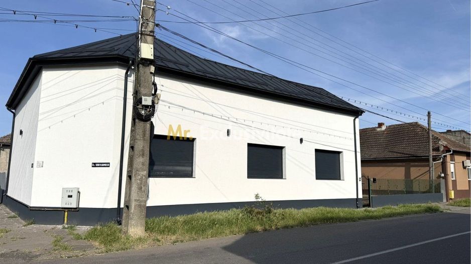 Inchiriere Casă 3 camere 154 mp, Teren 630 mp - Str. T. Vladimirescu - Carei - Poză 12