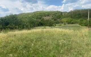 La cateva minute de oras! Vanzare teren intravilan in Viforata - Poză 3