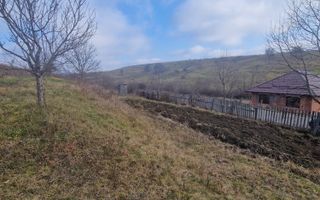 Teren intravilan | Livezile - Poză 4