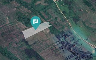 Teren arabil de 11,3 hectare în Bara, Timiș - Poză 2