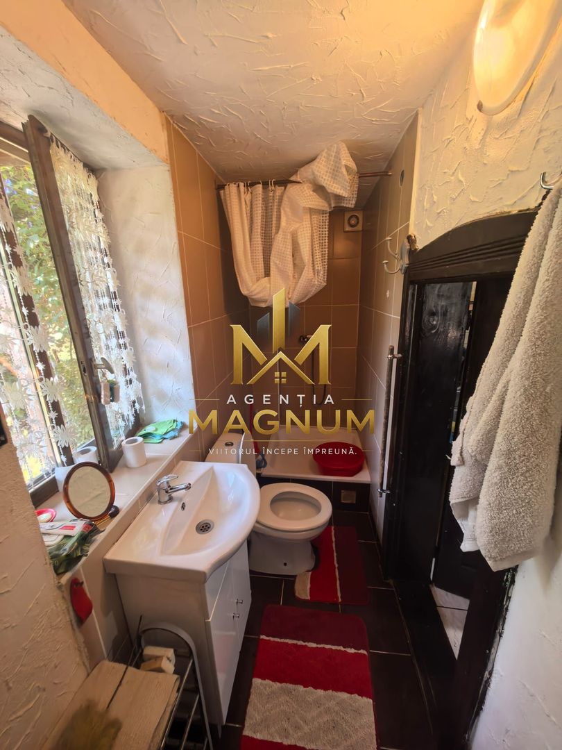 Casă P+M de vânzare | 450 mp teren | Centru Baia Sprie - Poză 11