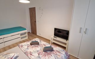 Apartament 1 camera regim hotelier Provista - Narcisei - Poză 1