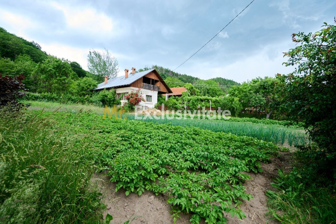 Casa cu teren generos - 4696 mp Apa Sarata - Campulung !! - Poză 1