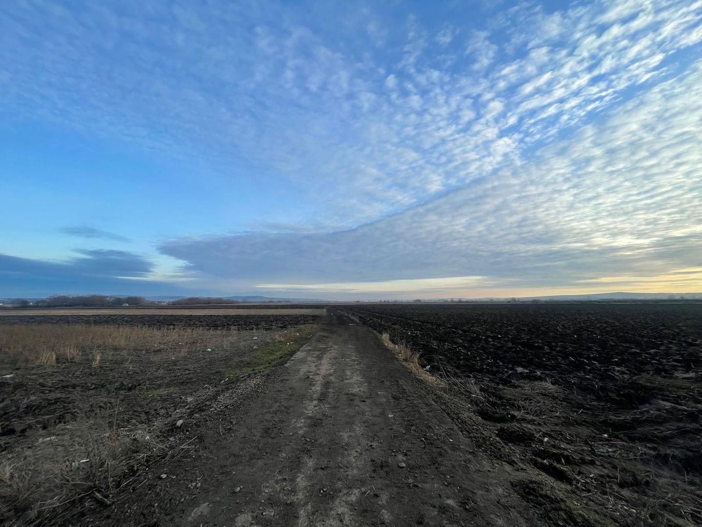 TEREN EXTRAVILAN | 82 ARI | PERIFERIA ORASULUI - Poză 5