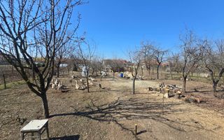 Casa 3 Camere Sat Ciugud, 1500mp Teren - Poză 3