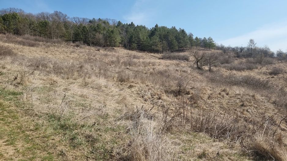 Teren de vanzare in Corunca –5.000 mp /55.000 EUR - Poză 6