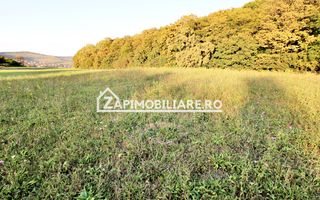 De vanzare 2 terenuri de 29.500 mp si 1.400 mp.29 euro mp - Poză 5