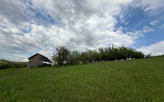 Teren intravilan construibil – 2.100 mp | Căianu - Poză 5