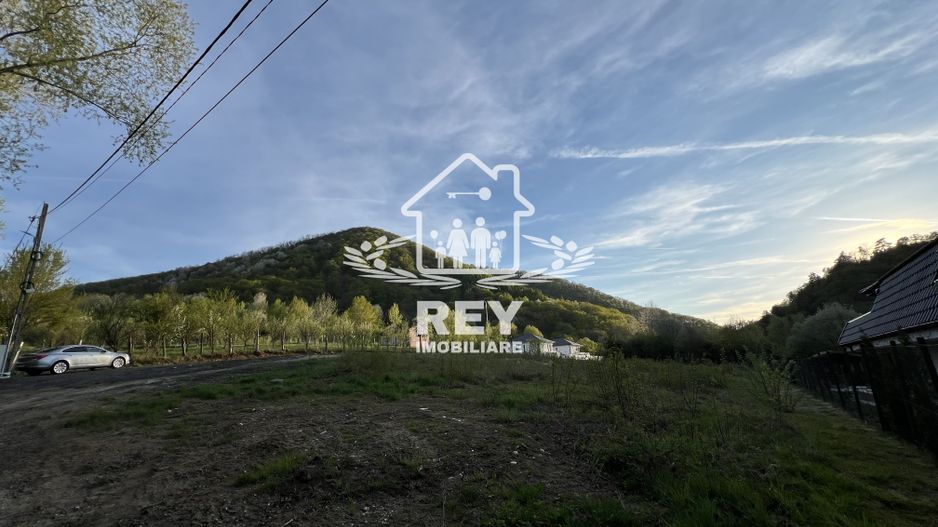 Teren 1250  mp de vânzare în Cisnădioara foarte aproape de asfalt/PUZ - Poză 10