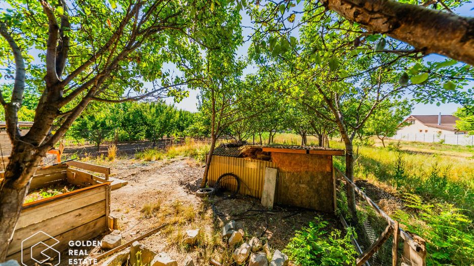 Casa situata in Pecica, 1602 mp - Poză 22