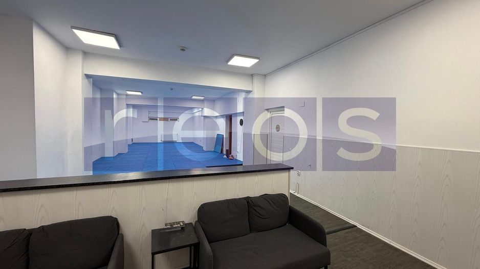 INCHIRIERE SPATIU DEMISOL | BARBU VACARESCU  | 196MP | - Poză 4