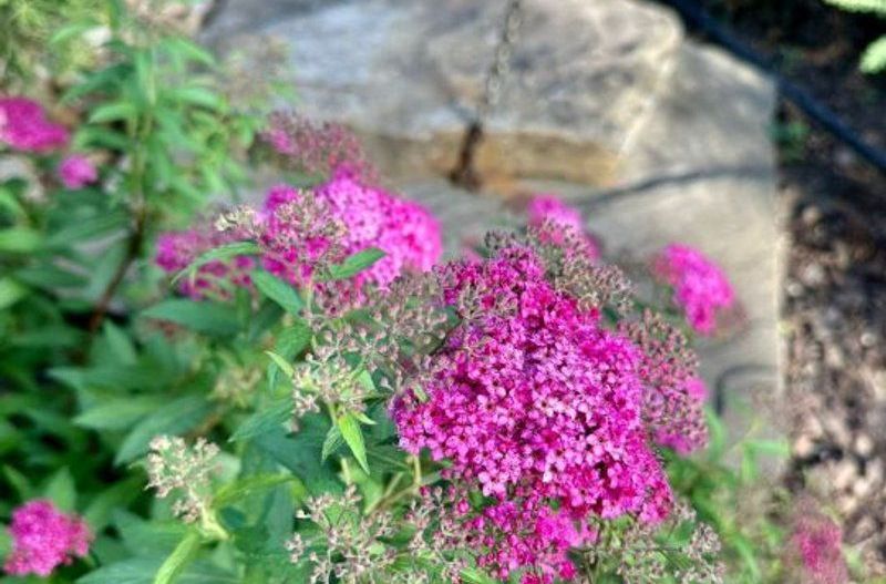 Vila lux de vanzare in cel mai dorit complex din Erou Iancu Nicolae-locatie rara - Poză 41