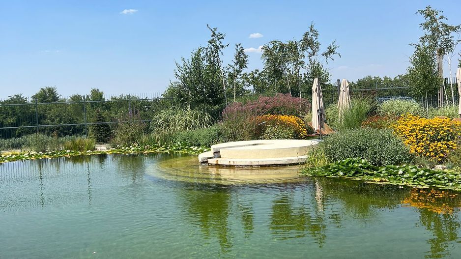 Pipera studio for rent | Complex with swimming pool, gym and sauna - Poză 5