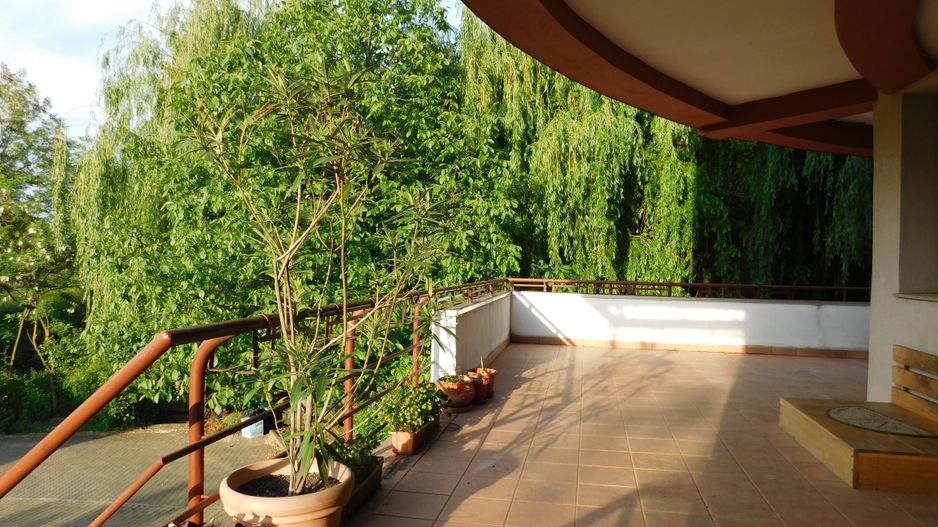 Vilă cu 1.350 mp teren în mijlocul orașului Grădina Botanică - Poză 16