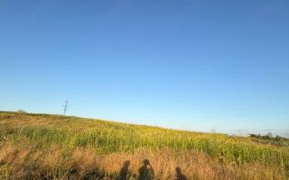 Teren intravilan 900 mp în Dancu, zona Lacul Chirița, cu drum de acces inclus - Poză 3