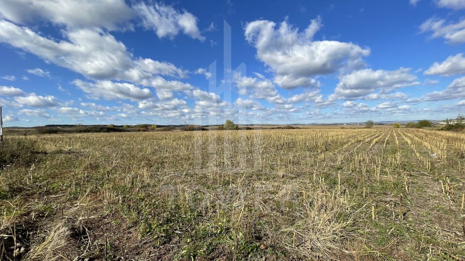 De vânzare teren intravilan – Cristian, Sibiu - Poză 5