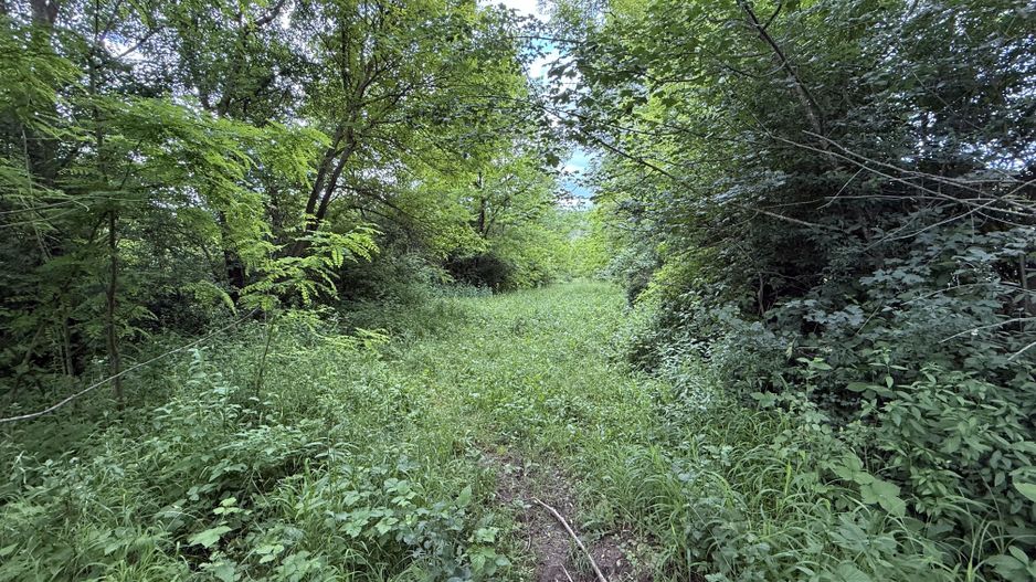 Teren plat-intravilan -3800 mp, cu pădurice și ieșire la râu! - Poză 19