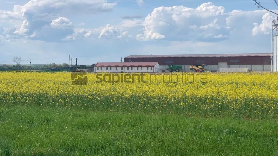 Sapient | Teren Agricol Intravilan zona Bors ,localitate Santau - Poză 1