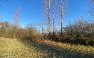 Teren de 7.500 mp de vânzare în Bradu, Avrig-COMISION 0% – lângă râul Olt. - Poză 9