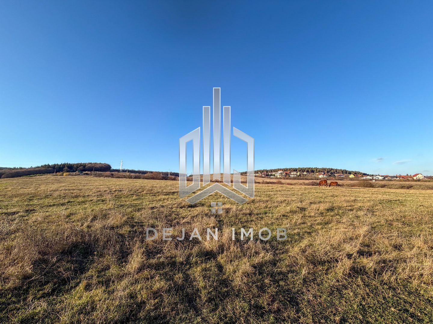 Teren Extravilan | 1.500 mp | Strada Pădurii - Poză 4