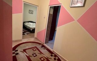 De inchiriat apartament cu 2 camere, etaj 1, Siderurgistilor, 450 E - Poză 9