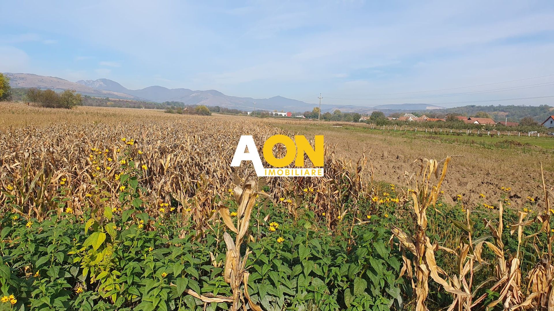 Teren intravilan Galda de Jos, 2100 mp - Poză 3