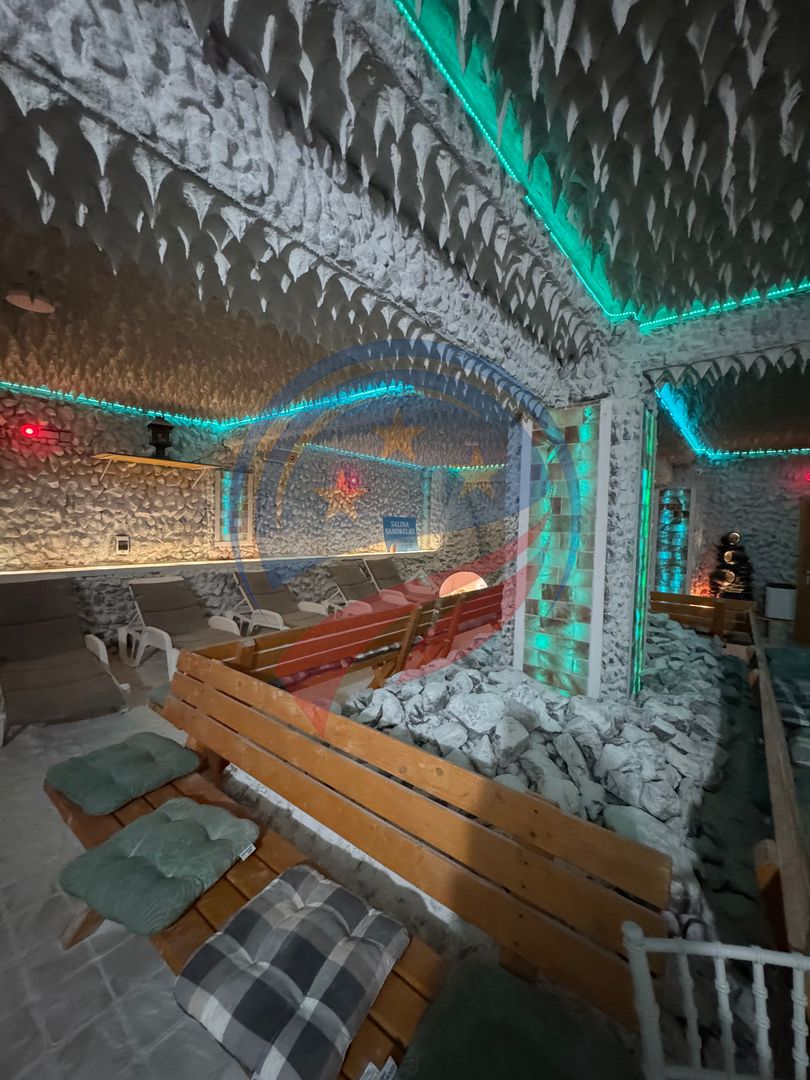 RESTAURANT- AFACERE FUNCȚIONALĂ | BRANIȘTE/ Podari - Poză 23