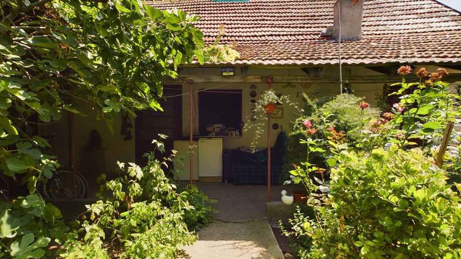 Casă cu livadă de pomi în Dorobanți - Poză 13