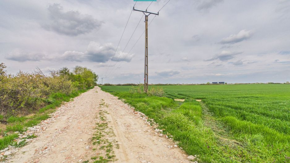 Teren extravilan 19.900 mp – Giroc centură - Poză 5
