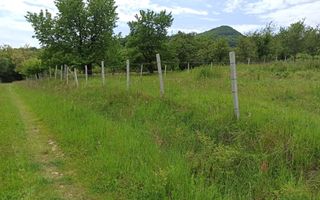 Teren 1000mp+cota drum-ideal cabana/investitie-panorama-Valea Rusului - Poză 3