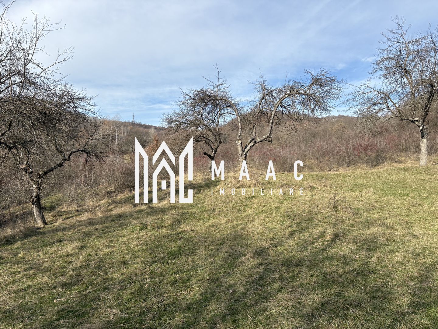 Teren  extravilan I 5300 mpI  Salatrucel -Calimanesti - Poză 5