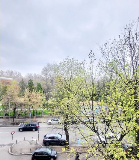 Decomandat | Renovat | Etaj Intermediar | Cismigiu | Fara risc seismic - Poză 11