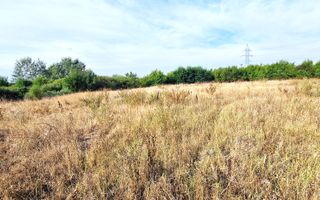 Teren de vânzare – 11.273 mp – zona Plopi, Timișoara Sud. - Poză 2