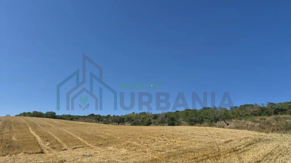 Teren intravilan de vanzare in Raducaneni - 15.000 EUR - Poză 3