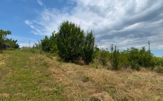 Teren in Goruni comuna Tomesti 12 km de rond Podu Ros - Poză 4