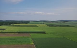 Vînzare, teren agricol, 25,3 ha, s. Peresecina, Orhei. - Poză 5