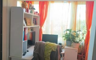 Apartament 1 camera zona Blascovici - Poză 2