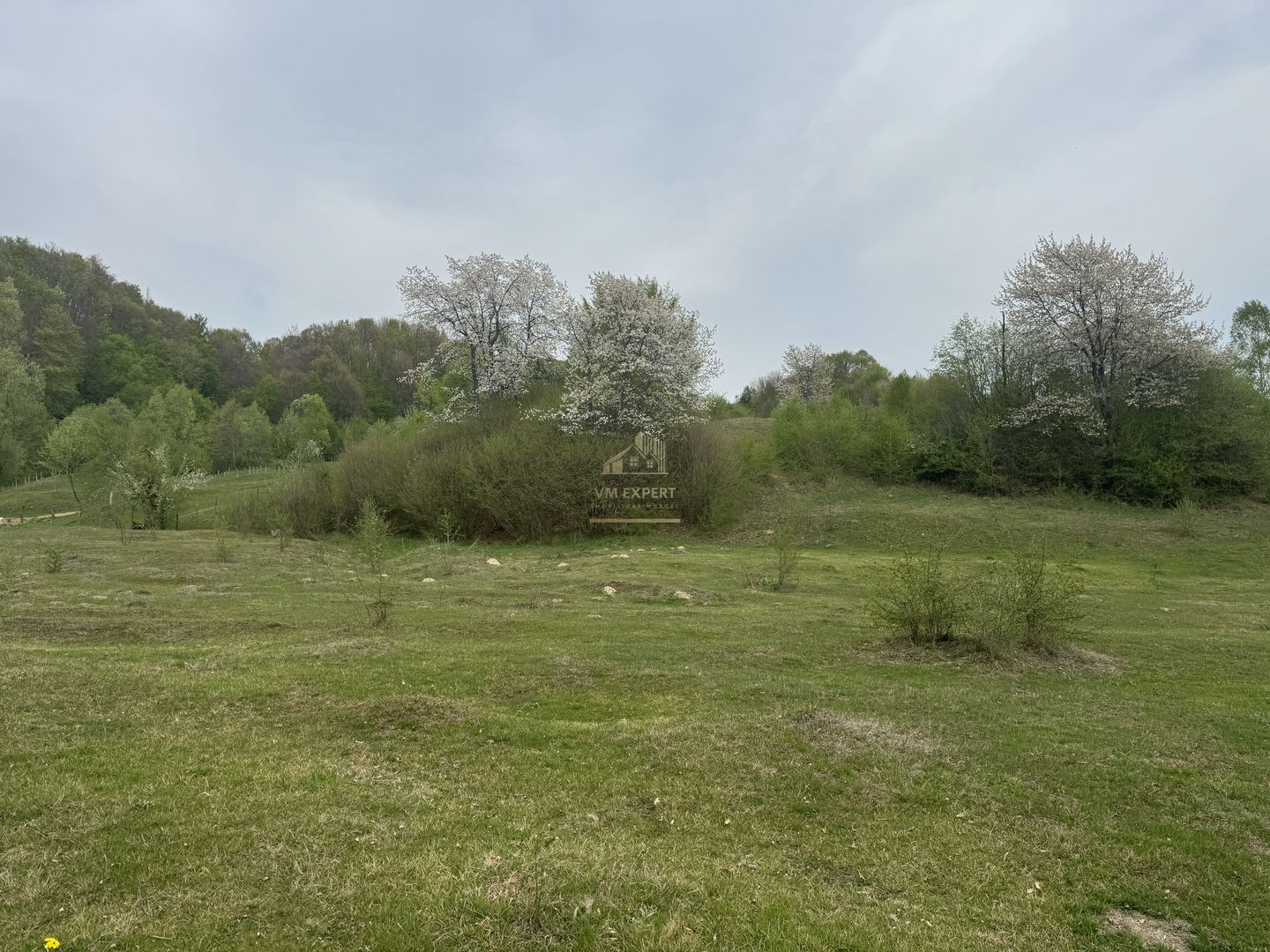 TEREN EXTRAVILAN 40000 MP, ALBESTI DE MUSCEL, CANDESTI - Poză 14