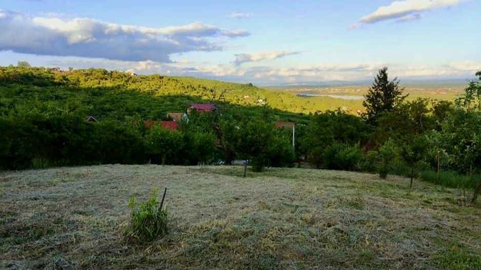 Teren Intravilan Podgoria - Poză 1