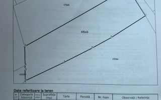 Teren Intravilan,Sanmartin CJ - Poză 5